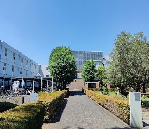 明治学院3
